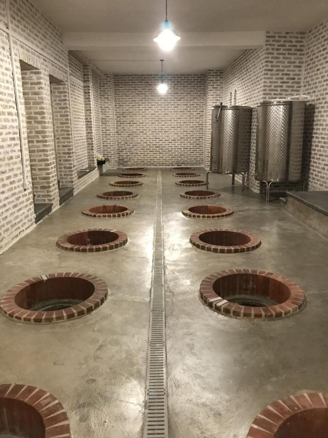 Hotel Begaso Family Winery à Kvareli Extérieur photo
