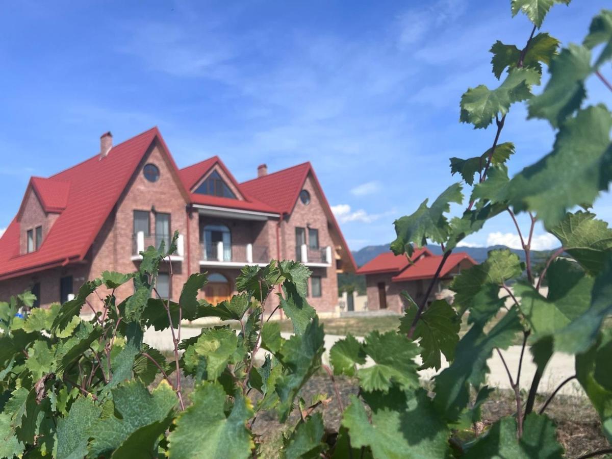 Hotel Begaso Family Winery à Kvareli Extérieur photo