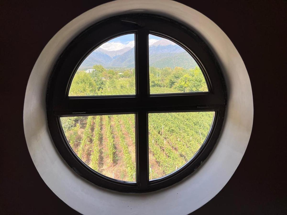 Hotel Begaso Family Winery à Kvareli Extérieur photo